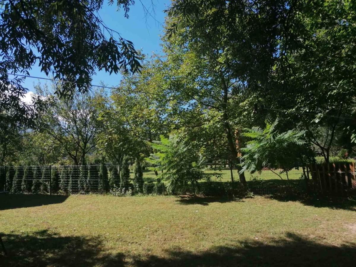 Kuca Delic Villa Racic Buitenkant foto