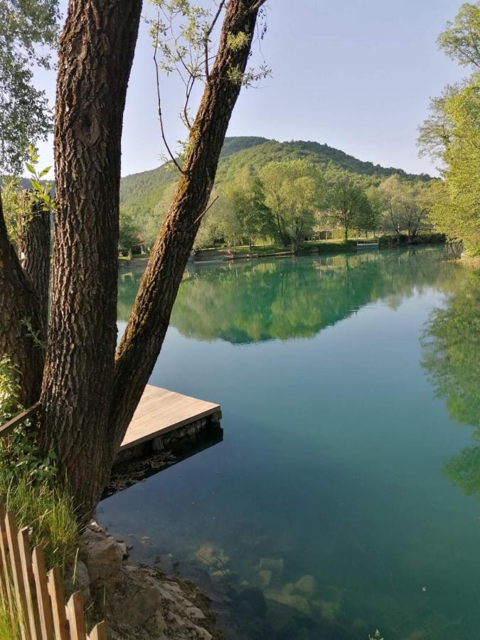 Kuca Delic Villa Racic Buitenkant foto
