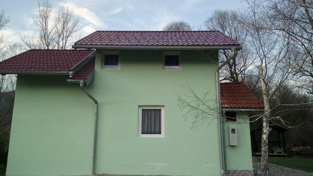 Kuca Delic Villa Racic Buitenkant foto