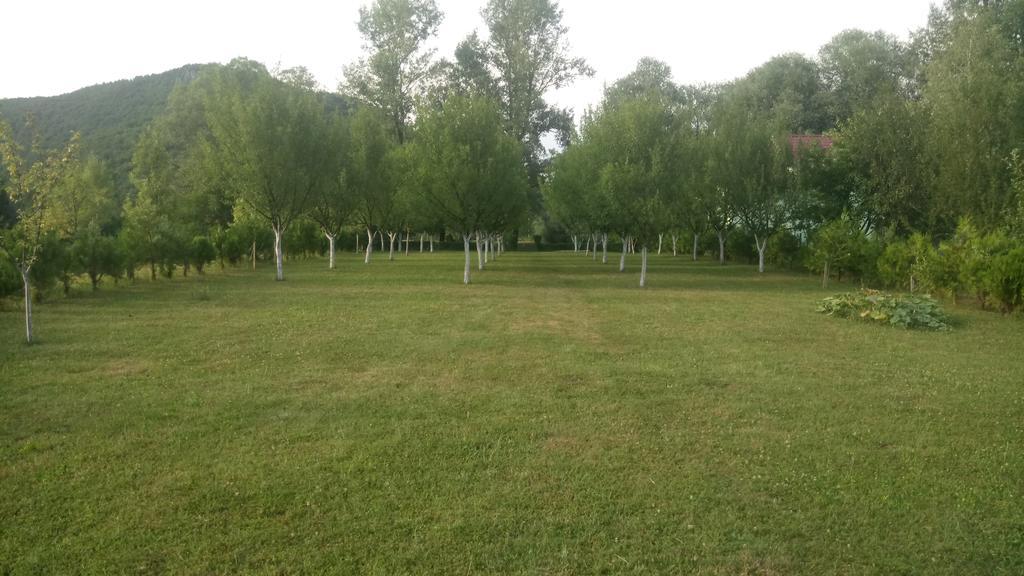 Kuca Delic Villa Racic Buitenkant foto