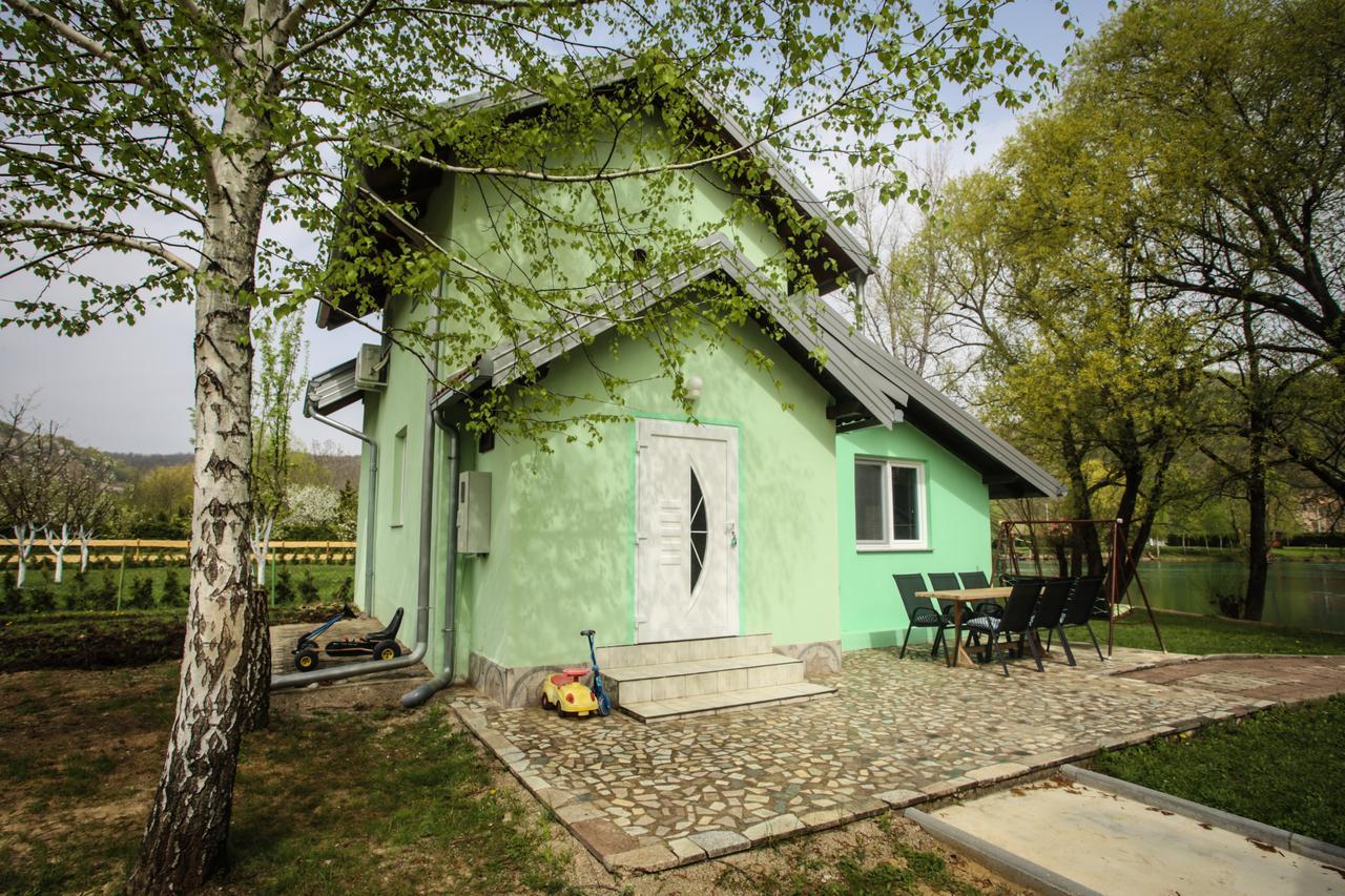 Kuca Delic Villa Racic Buitenkant foto