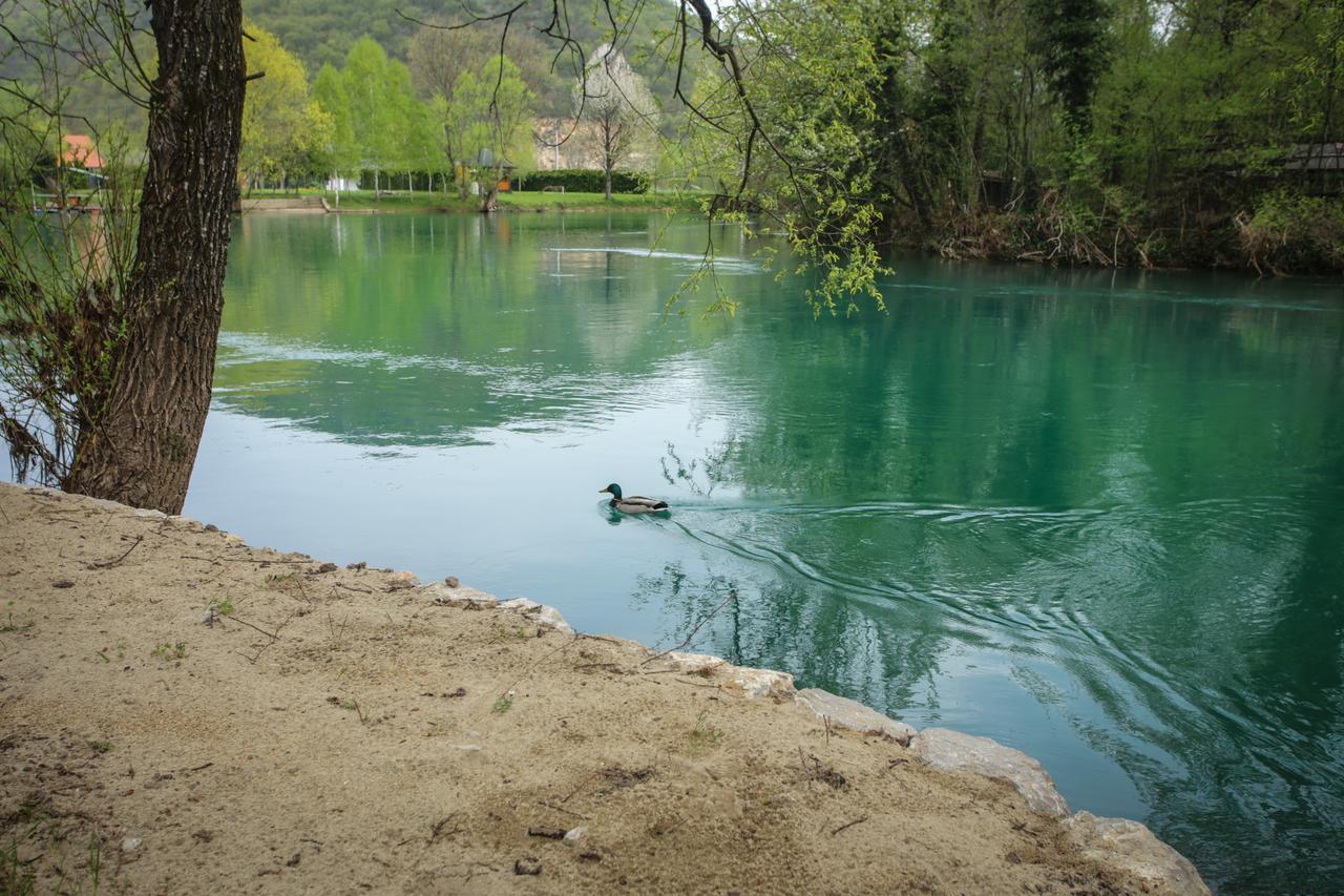 Kuca Delic Villa Racic Buitenkant foto