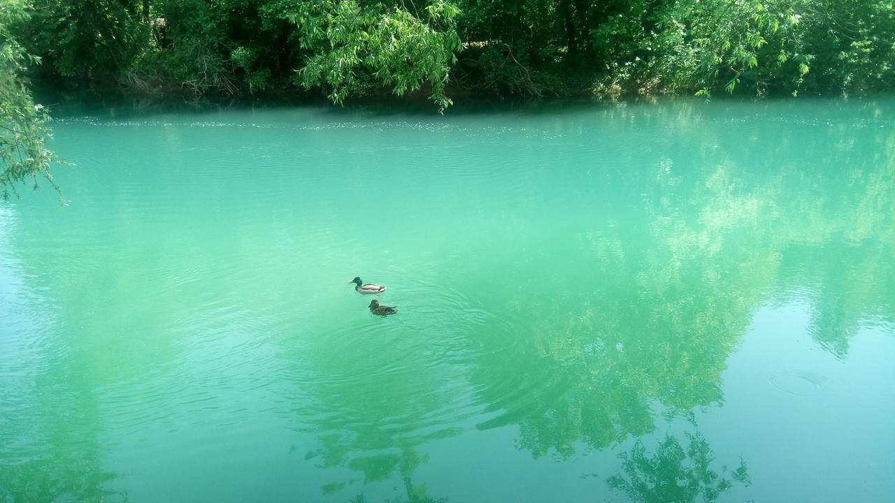 Kuca Delic Villa Racic Buitenkant foto